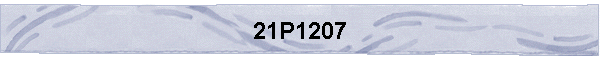 21P1207